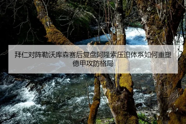 拜仁对阵勒沃库森赛后复盘阿隆索压迫体系如何重塑德甲攻防格局